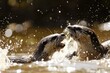Otters Engaging in a Playful Water Fight. 