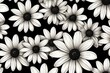 Black and white daisy pattern, hand draw, simple line, flower floral spring summer background design with copy space for text or photo backdrop 