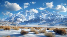   A Blue Sky Covers A Mountain Range Blanketed In Snow, With Sparse Bushes In The Foreground