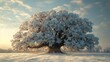   A tree in a snowy field under the sun's rays through the clouds