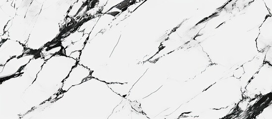 Poster - Close-up view of a unique black and white marble texture on a smooth monochrome surface, showcasing intricate patterns and swirls