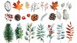 Watercolour nature clip-art, winter, for design