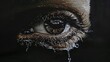 Embroidery, an eye with the tear falling down one side  a drop to fall from its lashes against a dark backdrop, making the composition pop with a sense of drama