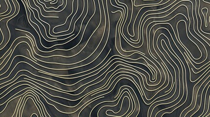 Poster - Detailed view of intricate black and white design