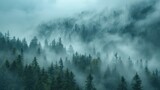 Fototapeta Tulipany -   A forest filled with trees covered in fog and smoky in haze