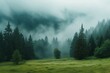 Idyllic and scenic view of trees on green grassy landscape in natural forest under dense foggy weather	