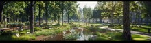 A Lush Green Park With A Small Stream Running Through It