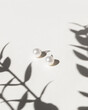 Pair of pearl stud earrings on cream studio background with sunshine