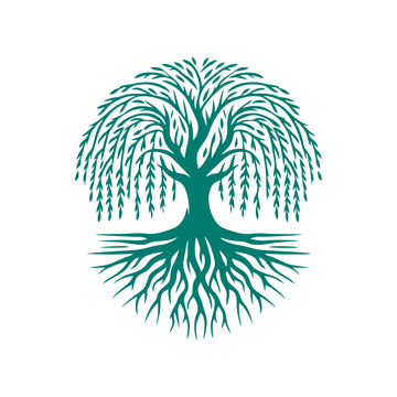 Root tree logo vector. Root of the tree vector logo symbol illustration design, oak tree vintage logo design