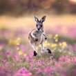 Juvenile Kangaroo Hopping Through Flower Field