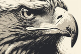 Fototapeta  - A close up of an eagle's face with a bold, angry expression