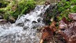 Kleiner Wasserfall im Wald mit Moos und Laub, Zeitlupe