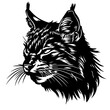 Wildcat or bobcat head Logo Design
