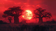 Baobab trees in the African grasslands and sunset falling behind them, The sky is red and the sun is very red and big