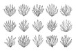 Set of algae or coral reefs. Collection of underwater plants. Set of seaweed icons. Sketch, illustration. Vector
