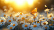 Sunlit Daisy in the Gold beauty of a field with fluttering butterflies landscape