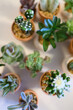 tiny decorative cactus and succulent fake potted plants in a group