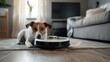 Jack Russell Terrier Dog with Robot Vacuum Cleaner: A Glimpse into Modern Home Life