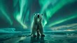Majestic polar bear on ice floe under northern lights, showcasing power with wide angle lens