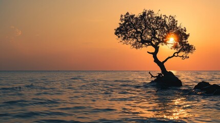 Wall Mural - Silhouette of tree in sea at sunset background