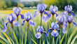 Illustration of beautiful watercolor iris garden in spring