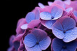 Hydrangea flower pistil , Macro photography