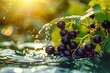 Grapes Floating in Water