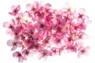 Poster - Close up of a bunch of pink flowers, perfect for nature backgrounds