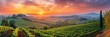As the sun dips below the horizon, vibrant colors paint the sky over a lush vineyard nestled in the hills, creating a stunning display of natural beauty