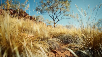 Aufkleber - A solitary tree standing in a field of tall grass. Suitable for nature and landscape themes