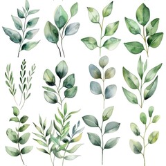 Poster - Watercolor illustration of various green leaves and branches. Perfect for botanical designs