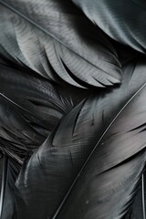 Aufkleber - Close up of a bunch of black feathers, suitable for various design projects