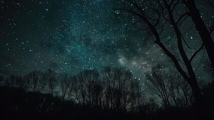 Aufkleber - A beautiful night sky filled with stars, with trees in the foreground. Perfect for nature or astronomy themes