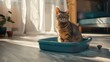 A cat sitting in a litter bowl, suitable for pet care concepts