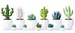 A collection of cactus plants in white flowerpots displayed against a white background. These houseplants add a touch of elegance to any space