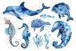 © Pickoloh - Set of watercolor marine illustrations with sea animals and abstract elements of sea animals. Blue watercolor ocean fish, Medusa, whale, seahorse illustration