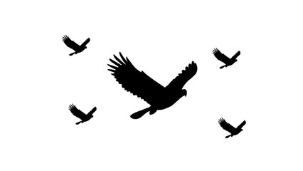 Poster - Zoom in and out animation the eagle symbol. Large black symbol in the center and four small symbols around. Seamless looped 4k animation on white background