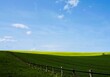 Landschaftspanorama mit grünem und gelbem Ackerfeld und Holzzaun vor blauem Himmel mit weißen Wolken bei Sonne am Nachmittag im Frühling