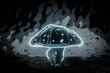 mushroom isolated on black