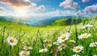 Floral Fantasy: Spring Landscape Abloom with Meadow Flowers