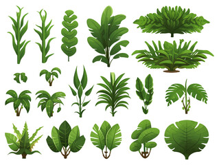 Wall Mural - Rainforest vegetation set flat design isolated style illustration