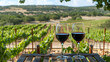 Tasting of burgundy red wine from grand cru pinot noir vineyards, two glasses of wine and view on green vineyards in Burgundy Cote de Nits wine region, France in summer. a wine barrel and vineyard.