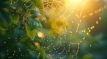 Dewy Spider's Web, Generative Ai