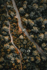Poster - Aerial view of a road surrounded by trees. Ideal for transportation or nature concepts