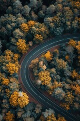 Poster - Aerial view of a scenic winding road surrounded by lush trees. Perfect for travel or nature concepts