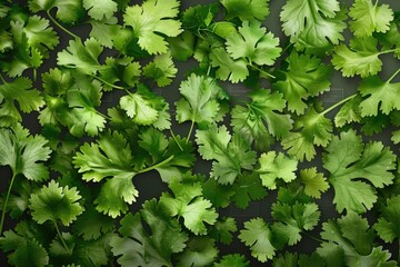 Poster - Detailed view of green leaves, ideal for nature concepts
