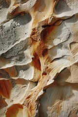 Poster - A close up image of a bird perched on a rock wall. Suitable for nature and wildlife themes