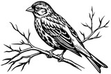 Fototapeta  - bird-vector illustration on-a-bare-branch