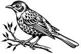 Fototapeta  - bird-vector illustration on-a-bare-branch