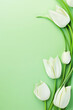 Cluster of white tulip flowers on green background. Copy space